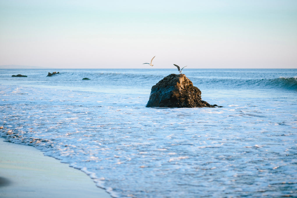 beach with a large rock protruding from the water with some seagulls flying over